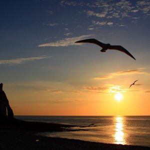 Meet your Posher, Joann